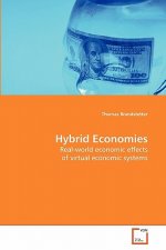 Hybrid Economies