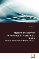 Molecular study of Aeromonas in North East India