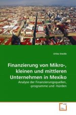 Finanzierung von Mikro-, kleinen und mittleren Unternehmen in Mexiko