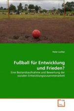 Fußball für Entwicklung und Frieden?