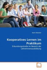 Kooperatives Lernen im Praktikum