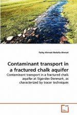 Contaminant transport in a fractured chalk aquifer