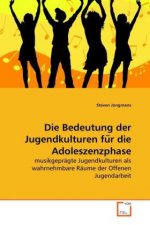 Die Bedeutung der Jugendkulturen fu r die Adoleszenzphase
