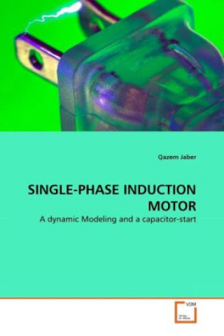 SINGLE-PHASE INDUCTION MOTOR