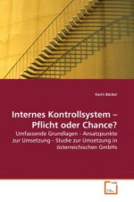 Internes Kontrollsystem   Pflicht oder Chance?