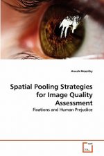 Spatial Pooling Strategies for Image Quality Assessment