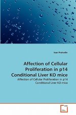 Affection of Cellular Proliferation in p14 Conditional Liver KO mice