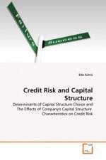 Credit Risk and Capital Structure