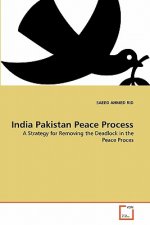 India Pakistan Peace Process