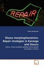 Shona morphophonemics: Repair strategies in Karanga and Zezuru