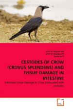 CESTODES OF CROW (CROVUS SPLENDENS) AND TISSUE DAMAGE IN INTESTINE