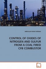 Control of Oxides of Nitrogen and Sulfur from a Coal Fired Cfb Combustor