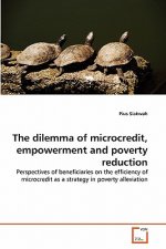 dilemma of microcredit, empowerment and poverty reduction