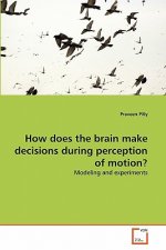 How does the brain make decisions during perception of motion?