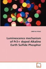 Luminescence mechanism of Pr3+ doped Alkaline Earth Sulfide Phosphor