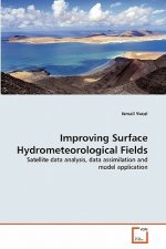 Improving Surface Hydrometeorological Fields