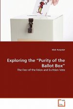 Exploring the Purity of the Ballot Box
