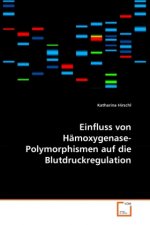 Einfluss von Hämoxygenase-Polymorphismen auf die Blutdruckregulation