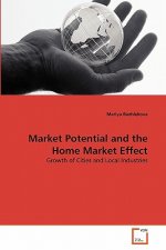 Market Potential and the Home Market Effect