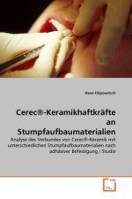 Cerec®-Keramikhaftkräfte an Stumpfaufbaumaterialien