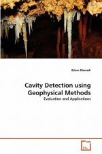 Cavity Detection using Geophysical Methods