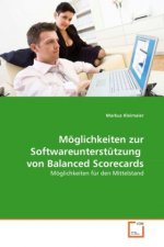 Möglichkeiten zur Softwareunterstützung von Balanced Scorecards