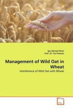 Management of Wild Oat in Wheat