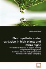 Photosynthetic water oxidation in high plants and micro algae