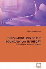 Fuzzy Modeling of the Boundary-Layer Theory