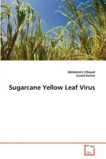 Sugarcane Yellow Leaf Virus