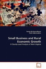 Small Business and Rural Economic Growth