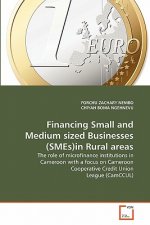 Financing Small and Medium sized Businesses (SMEs)in Rural areas