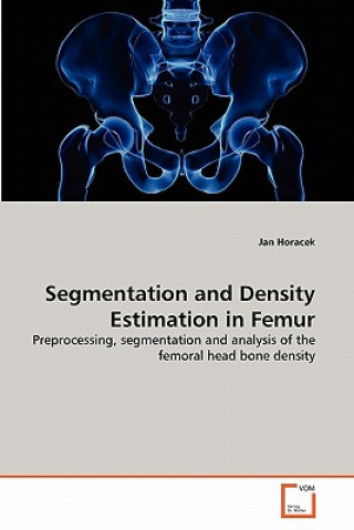 Segmentation and Density Estimation in Femur