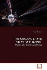 Cardiac L-Type Calcium Channel
