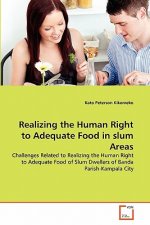 Realizing the Human Right to Adequate Food in slum Areas