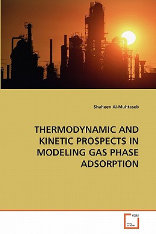 Thermodynamic and Kinetic Prospects in Modeling Gas Phase Adsorption