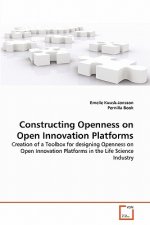 Constructing Openness on Open Innovation Platforms