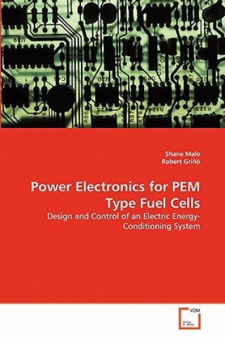 Power Electronics for PEM Type Fuel Cells
