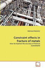 Constraint effects in fracture of metals