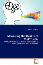 Measuring the Quality of VoIP Traffic