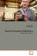 Socio Economic Indicators