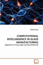 Computational Intellingence in Glass Manufacturing