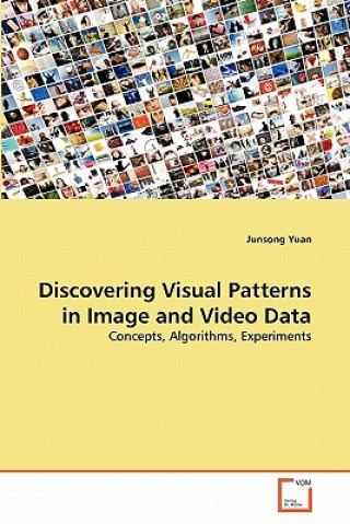 Discovering Visual Patterns in Image and Video Data