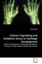Calcium Signalling and Oxidative Stress in Cartilage Development