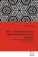 B28, a new high pressure high temperature boron allotrope