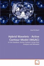 Hybrid Wavelets - Active Contour Model (WGAC)