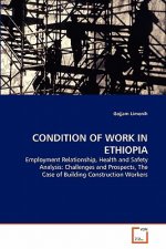 Condition of Work in Ethiopia