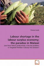 Labour shortage in the labour surplus economy; the paradox in Malawi