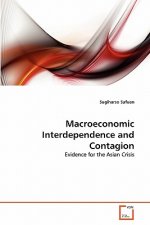 Macroeconomic Interdependence and Contagion
