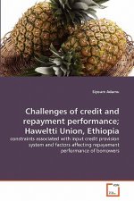 Challenges of credit and repayment performance; Haweltti Union, Ethiopia